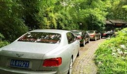 宾利最新爆料新闻报道,奢华品牌背后的秘密与未来展望